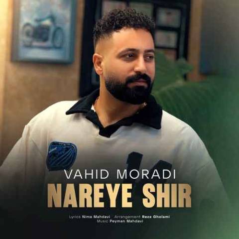 Vahid Moradi Nareye Shir Musicya.ir دانلود آهنگ دادا هارش کی بیموئه به به عجب ابهتی